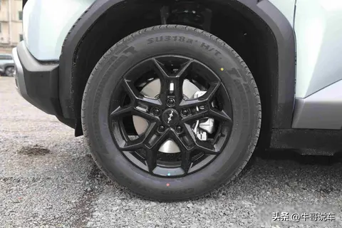 3月13日,比亚迪将要上市一款